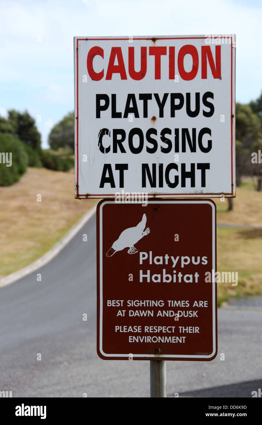Panneau routier dans la ville de Tasmanie avertissement Waratah les conducteurs à être prudents de platypus traverser la route de nuit Banque D'Images