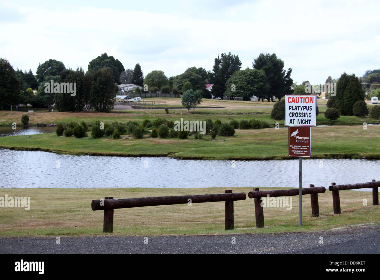 Panneau routier dans la ville de Tasmanie avertissement Waratah les conducteurs à être prudents de platypus traverser la route de nuit Banque D'Images