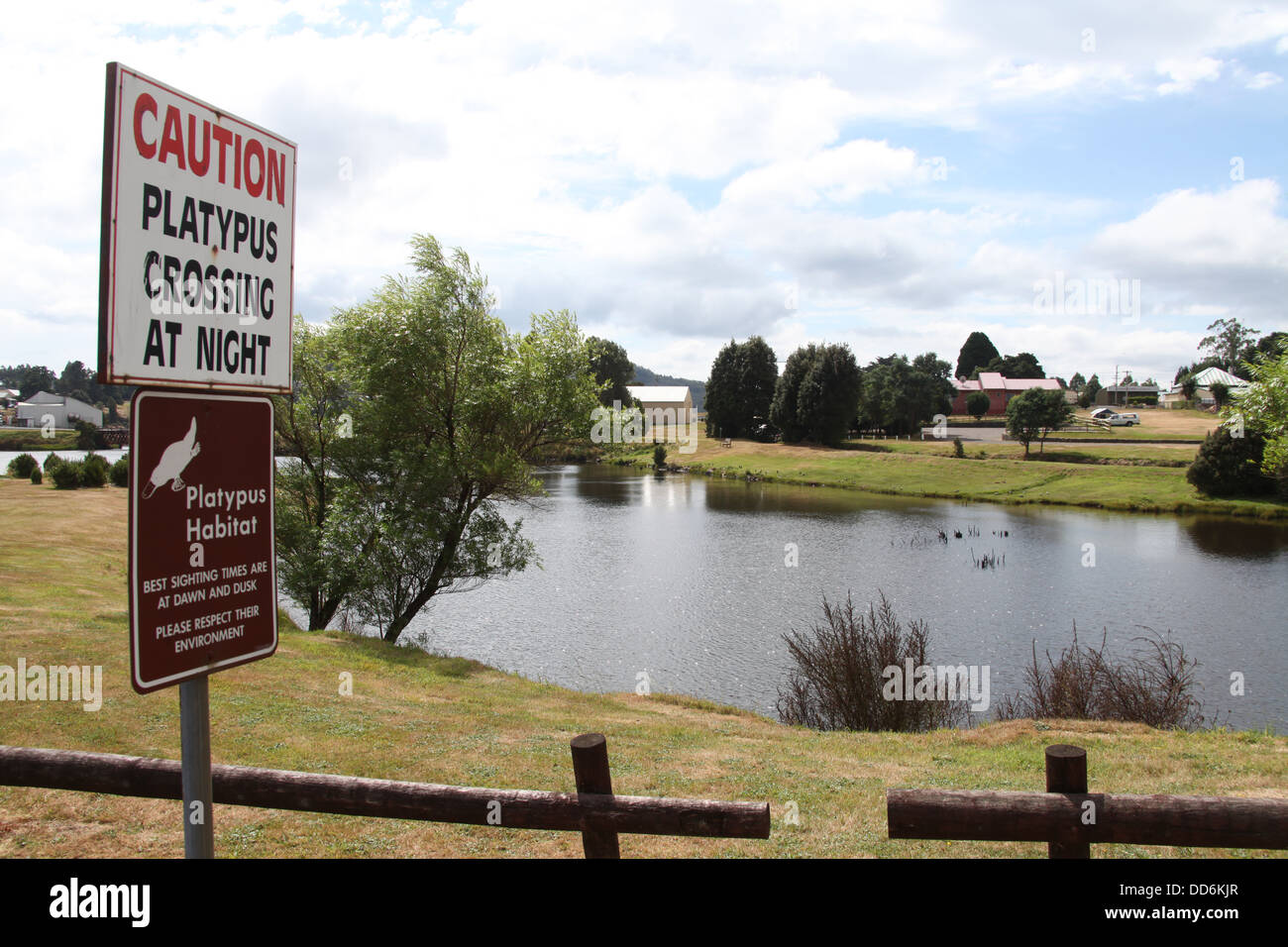 Panneau routier dans la ville de Tasmanie avertissement Waratah les conducteurs à être prudents de platypus traverser la route de nuit Banque D'Images