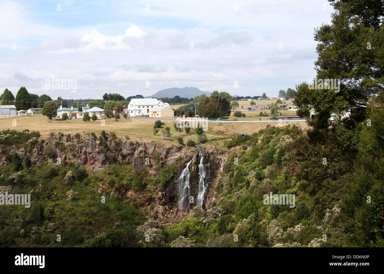 Chutes et Waratah de la ville, dans le désert de Tasmanie occidentale Banque D'Images