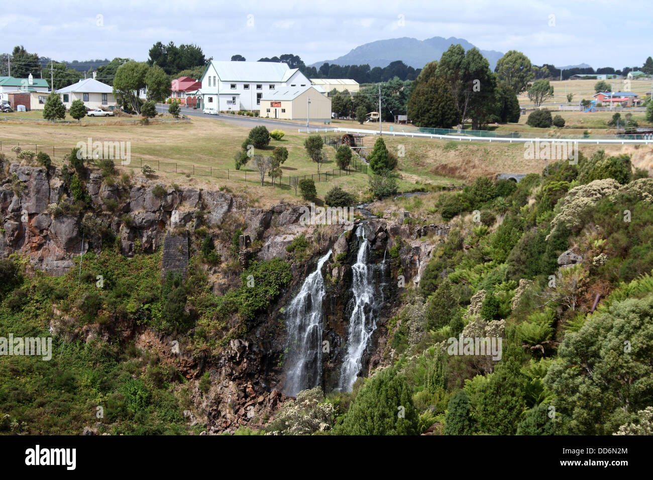 Chutes et Waratah de la ville, dans le désert de Tasmanie occidentale Banque D'Images