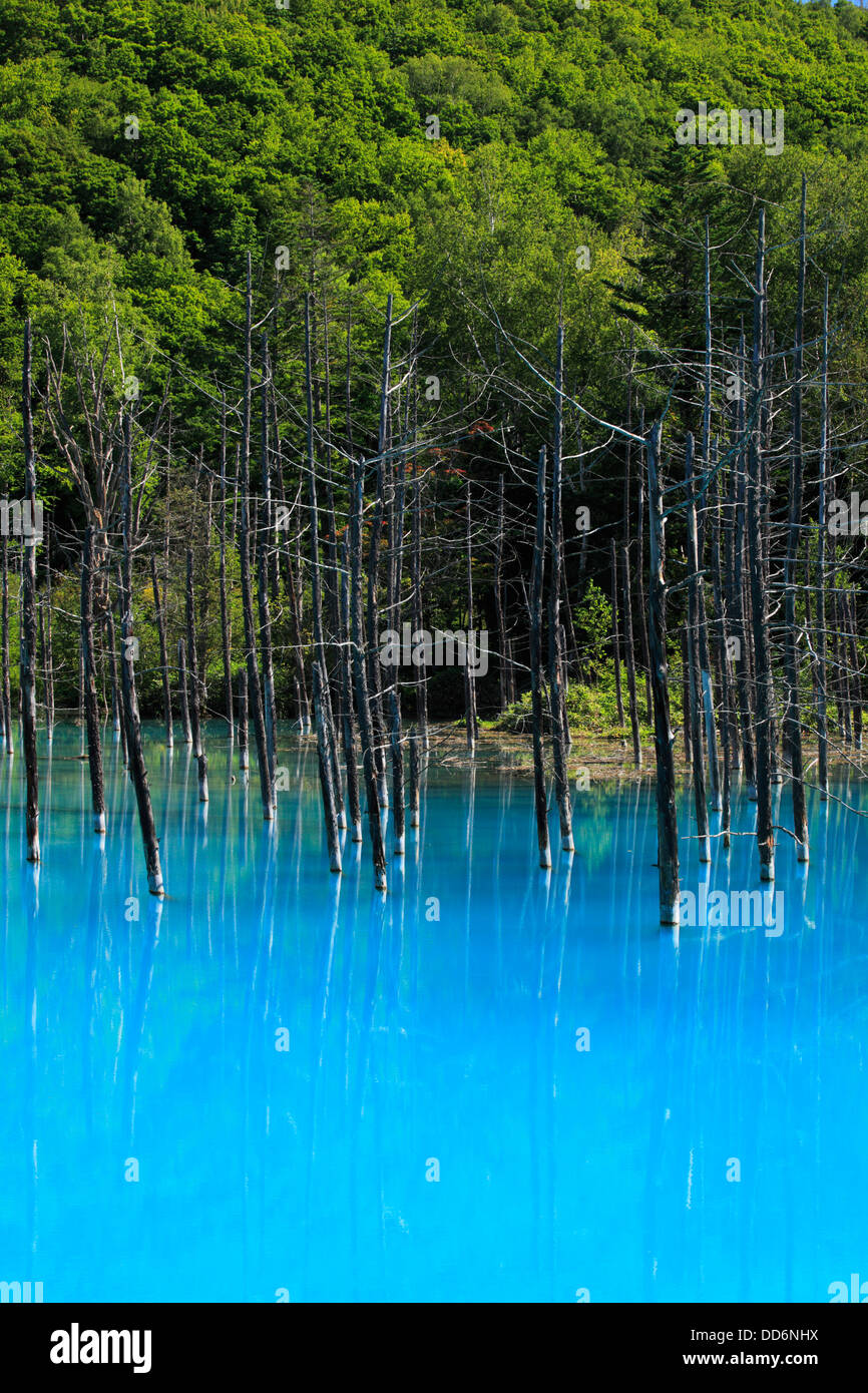 L'étang bleu, Hokkaido Banque D'Images