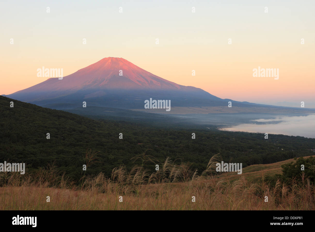 Le Mont Fuji et le lac Yamanaka, préfecture de Yamanashi Banque D'Images