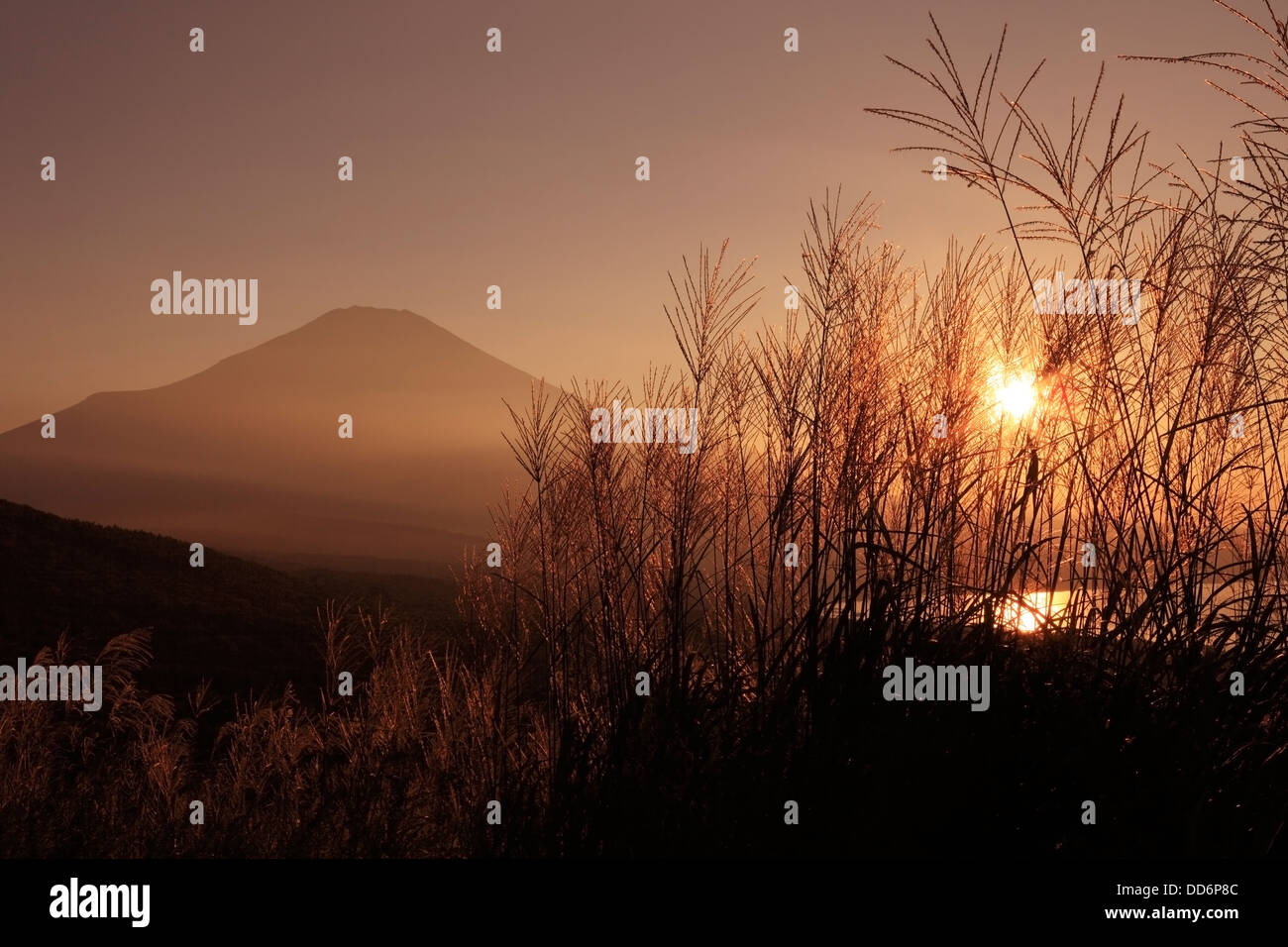 Le Mont Fuji et le lac Yamanaka au coucher du soleil, préfecture de Yamanashi Banque D'Images