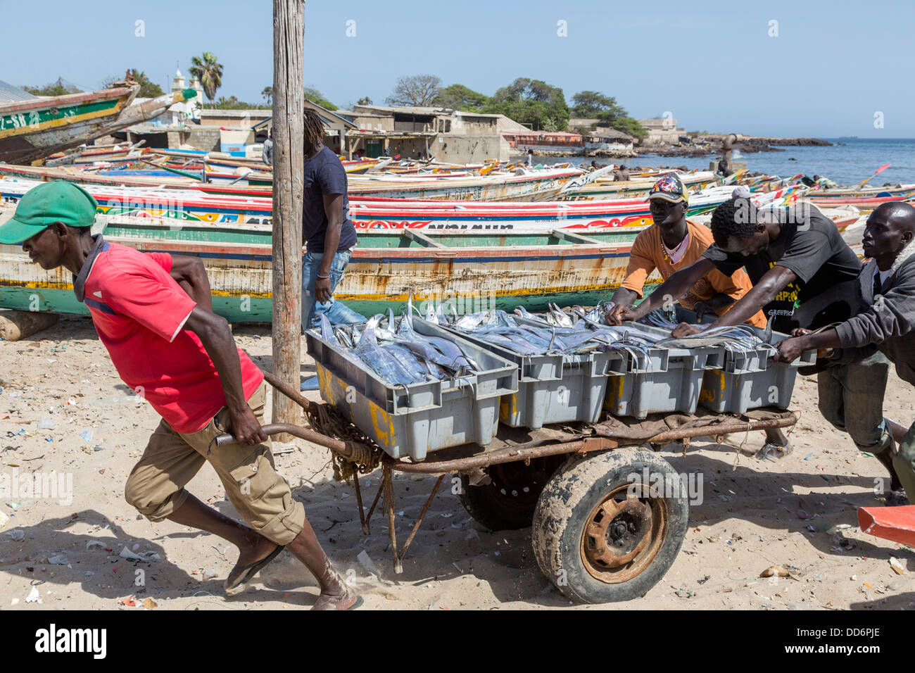 Dakar, Sénégal. Déménagement un chargement de poisson à l'étal des vendeurs, Soumbédioune Village de pêcheurs, maintenant une partie de la métropole de Dakar. Banque D'Images