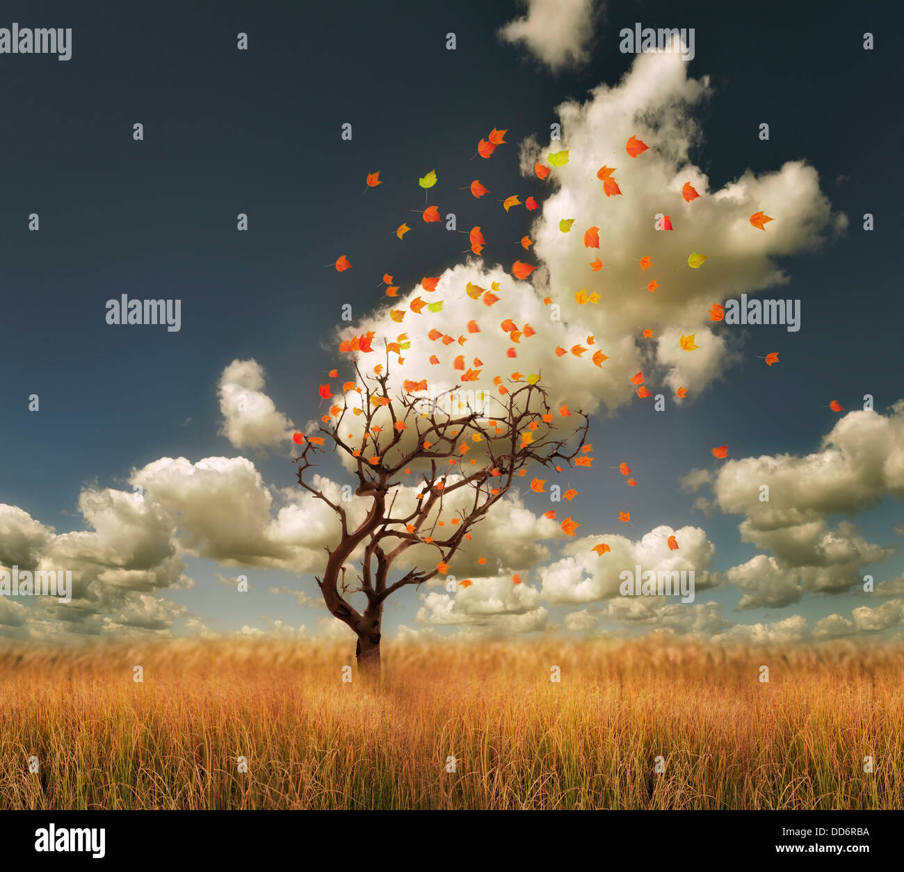 Paysage d'automne avec Lonely Tree et feuilles colorées Banque D'Images