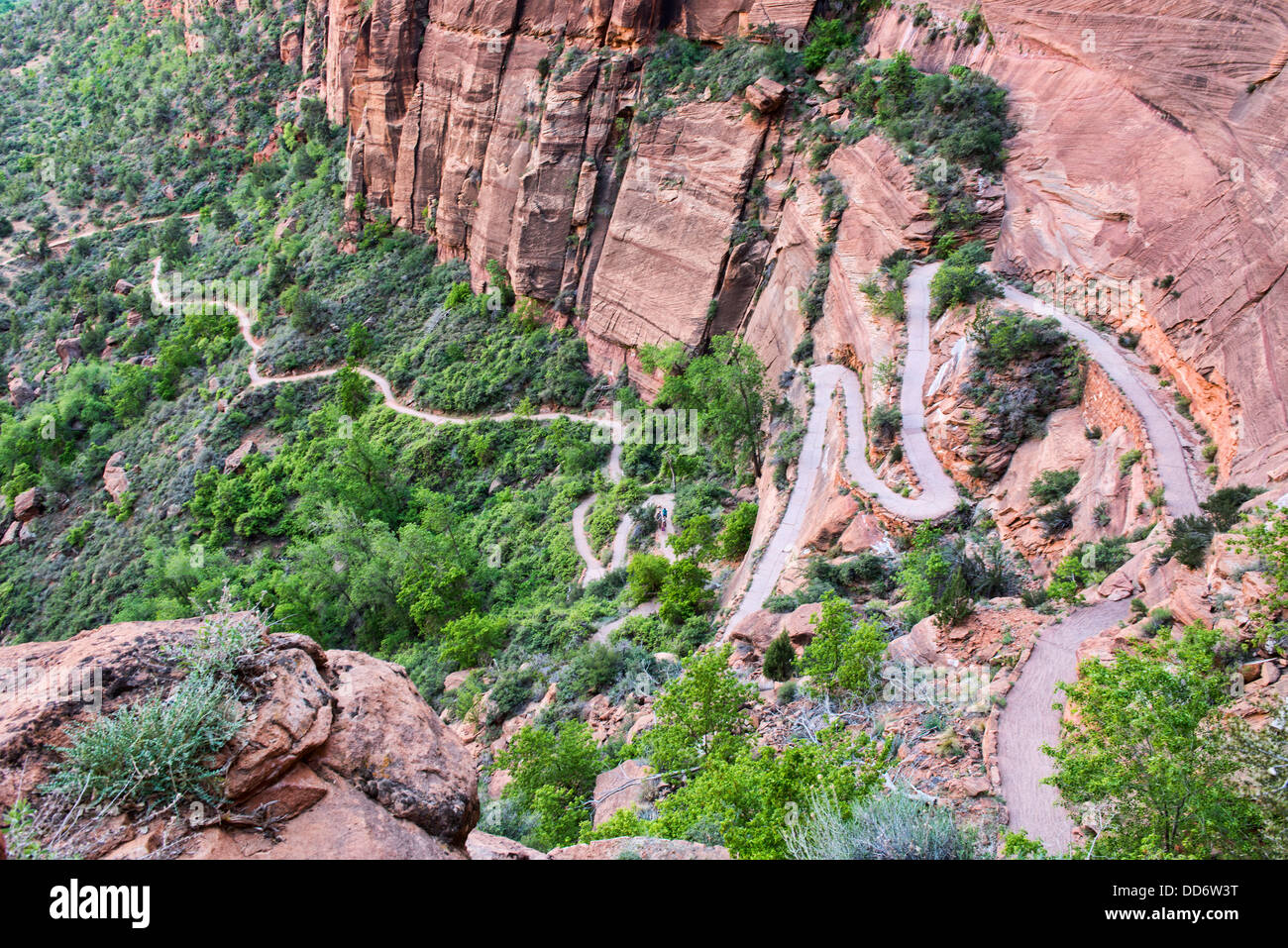 Walter's Wiggles lacets Angels Landing Trail, Zion National Park, Utah