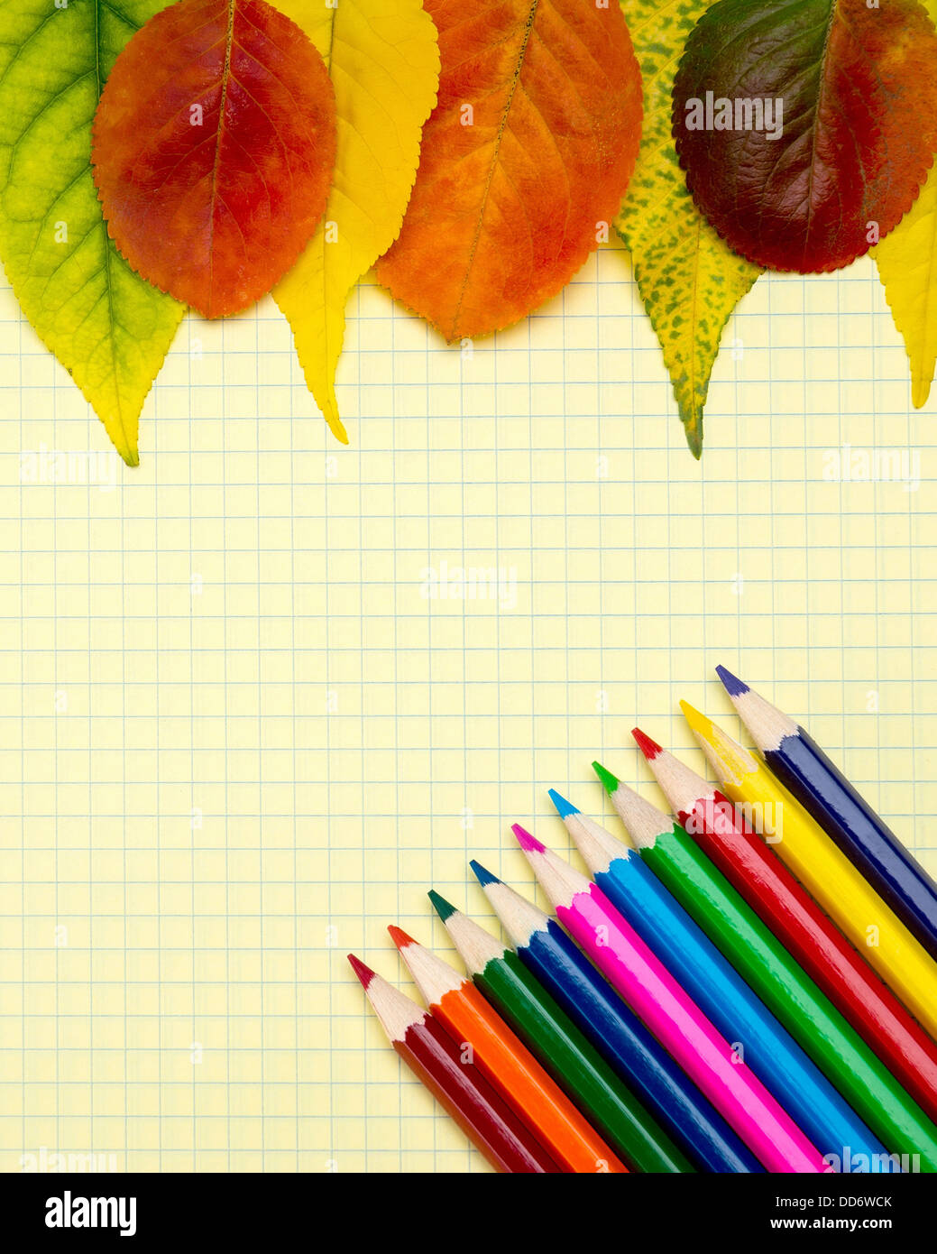 Retour à l'école.Bloc-notes, crayons de couleur et les feuilles d'automne. Banque D'Images