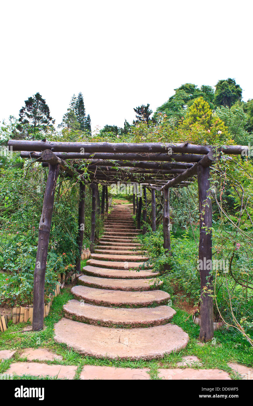 Escalier vers le jardin chemin fait de ciment. Banque D'Images