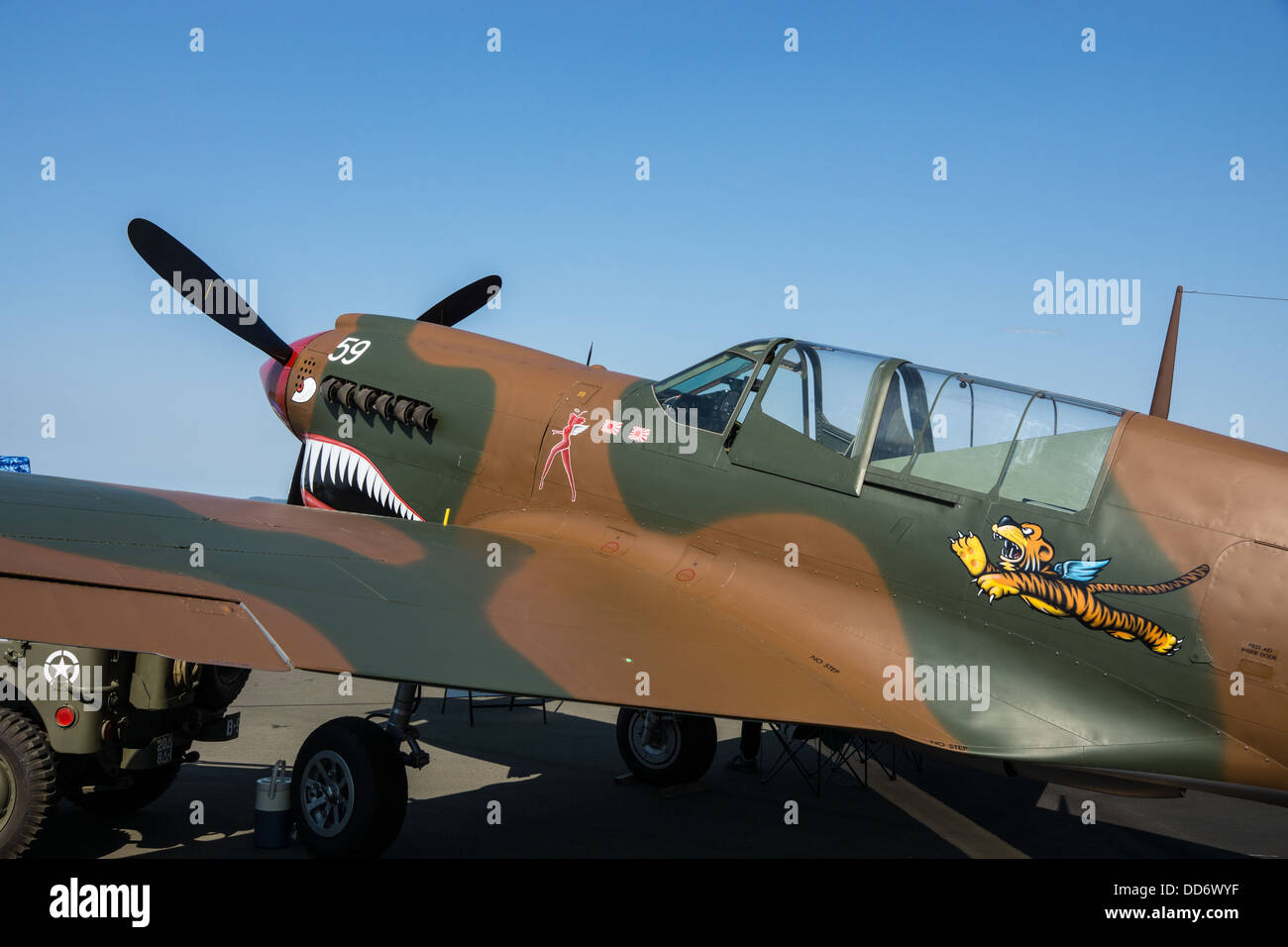 8/18/2013, Santa Rosa, Californie. Un Curtis P-40N-5 Kittyhawk sur avion de guerre affichage à Pacific Coast Air Museum de l'aéronautique. Banque D'Images