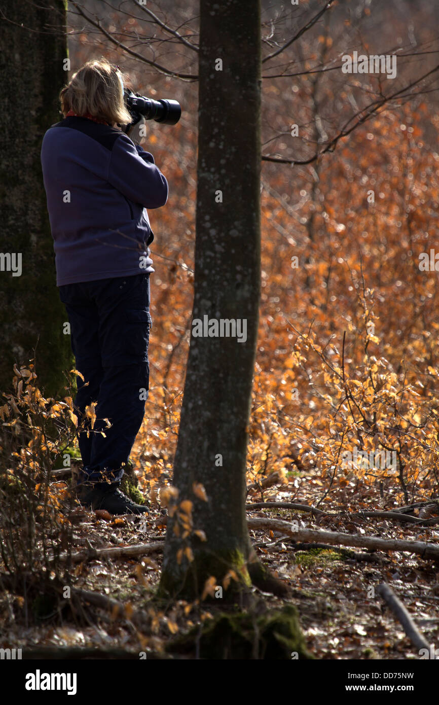 Une femme prend des photos de feuilles d'automne Banque D'Images