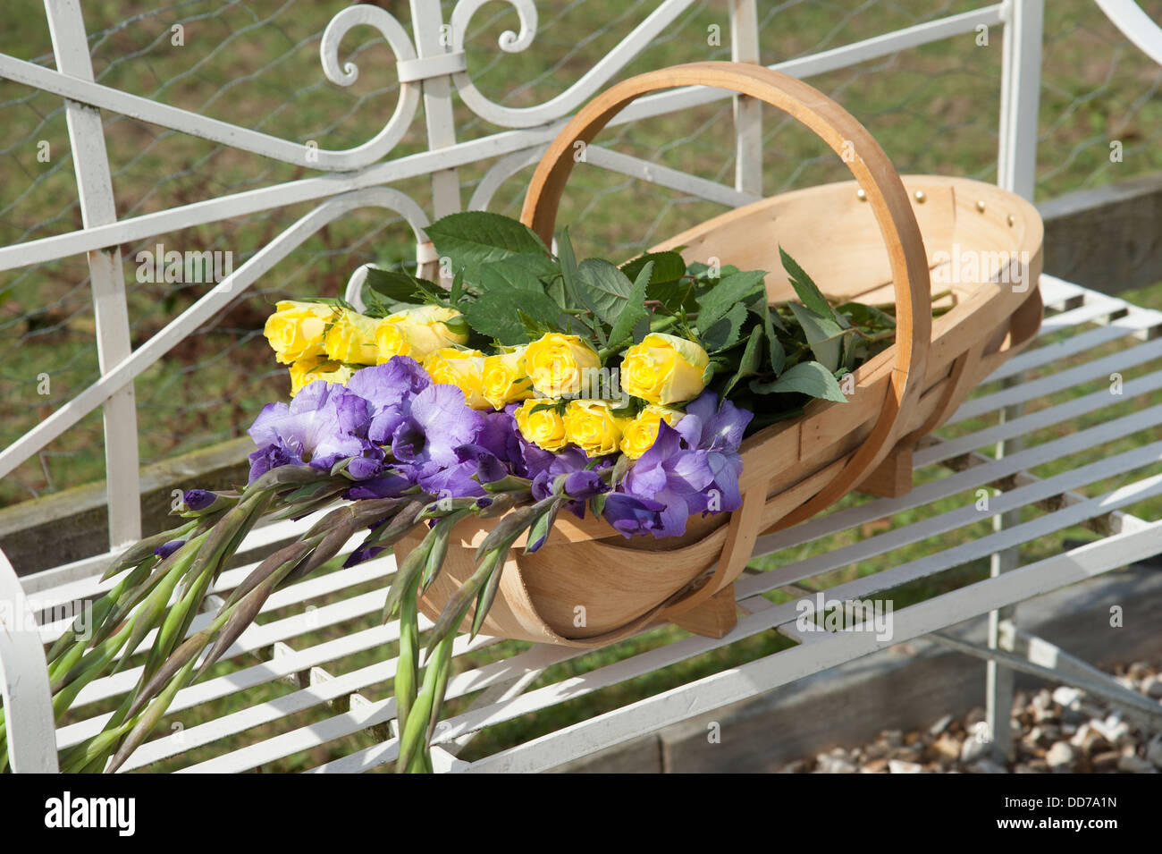 Jardin en bois trug et fleurs fraîchement cueillies roses et iris Banque D'Images