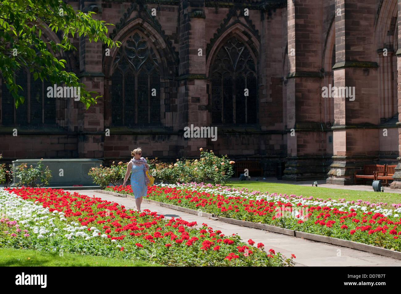 Woman walking through the Cheshire Regiment Memorial Garden, Chester, Royaume-Uni Banque D'Images