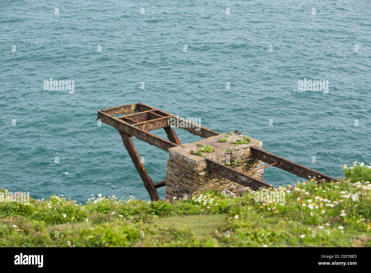 South Haven, Skokholm Sud, Pembrokeshire, Pays de Galles, Royaume-Uni Banque D'Images