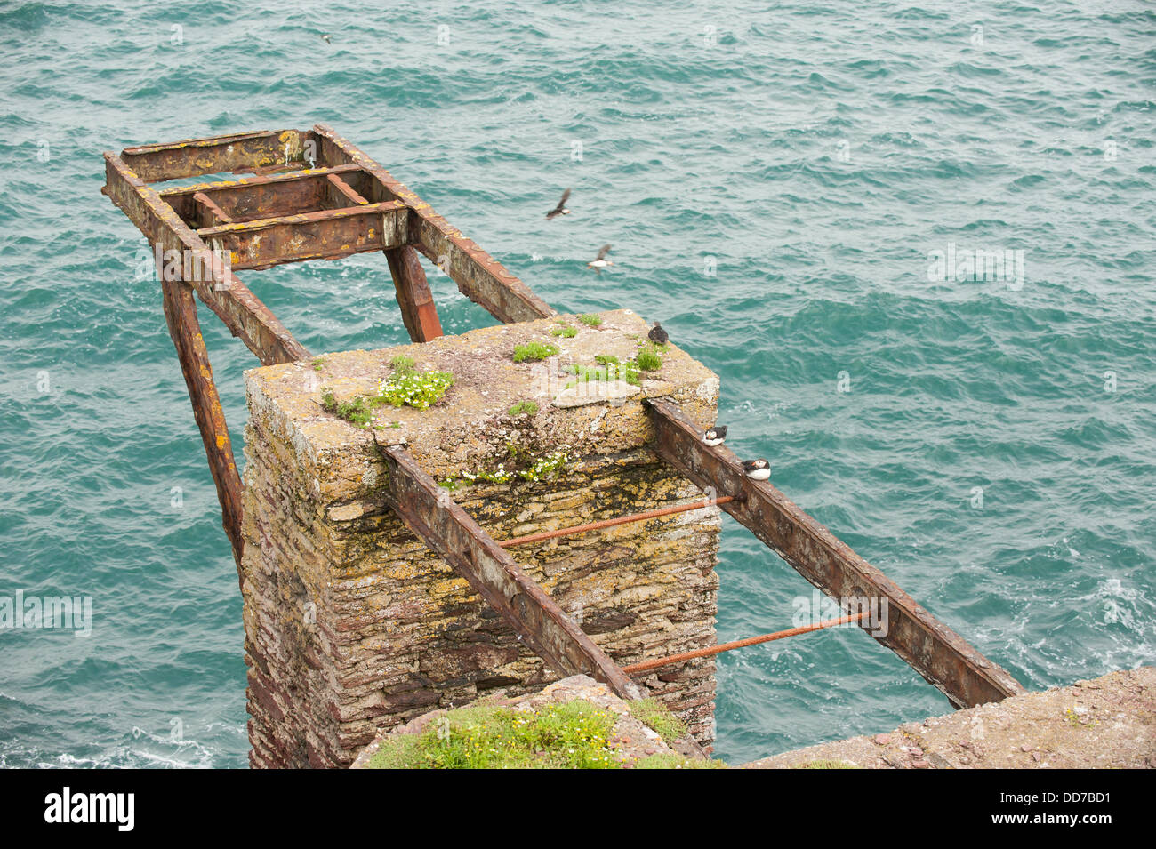 South Haven, Skokholm Sud, Pembrokeshire, Pays de Galles, Royaume-Uni Banque D'Images