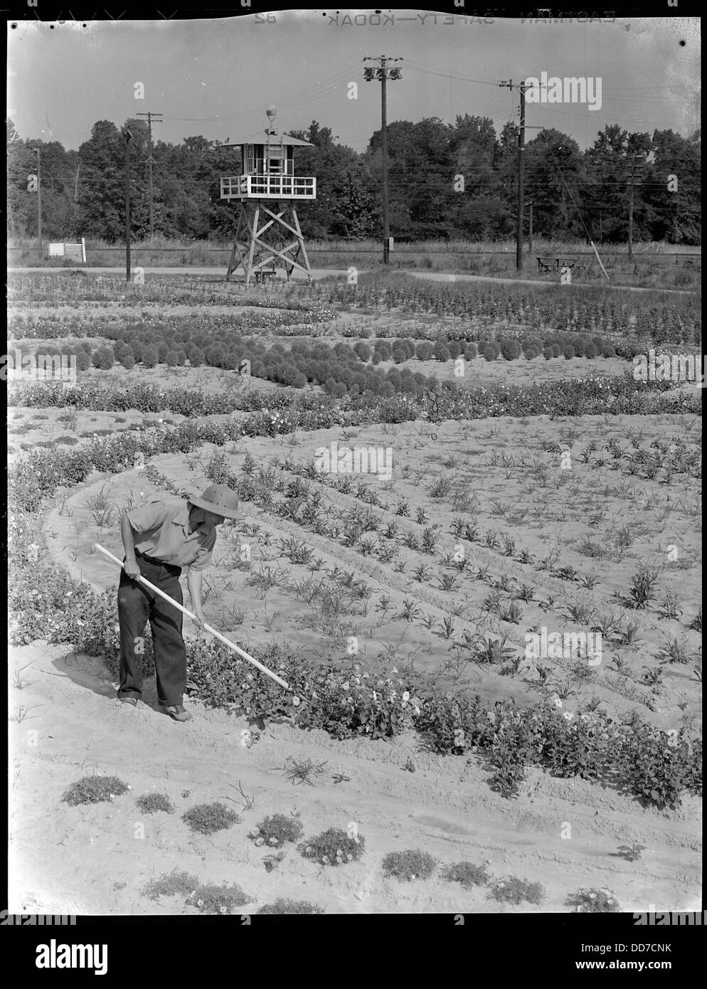 Clôture de la réinstallation, Jérôme Centre Denson, Arkansas. Les jardins de fleurs décoratives à l'app . . . - - 539672 Banque D'Images