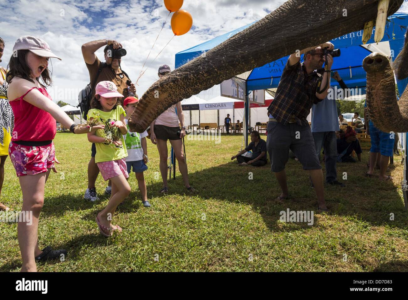 Hua Hin, Prachuap Khiri Khan, Thaïlande. Août 28, 2013. MAXINE RECHTER, 11, et sa soeur, CHARLOTTE RECHTER, 7, nourrir un éléphant herbe à la King's Cup Elephant Polo Tournament de Hua Hin, Thaïlande. Le commanditaire principal du tournoi dans l'établissement Anantara Resorts et le tournoi est organisé par l'établissement Anantara Hua Hin. C'est la 12e année pour la King's Cup Elephant Polo Tournament. Le sport de l'elephant polo a commencé au Népal en 1982. Produit de la King's Cup va à aider à réhabiliter les éléphants sauvés des abus. Credit : ZUMA Press, Inc./Alamy Live News Banque D'Images