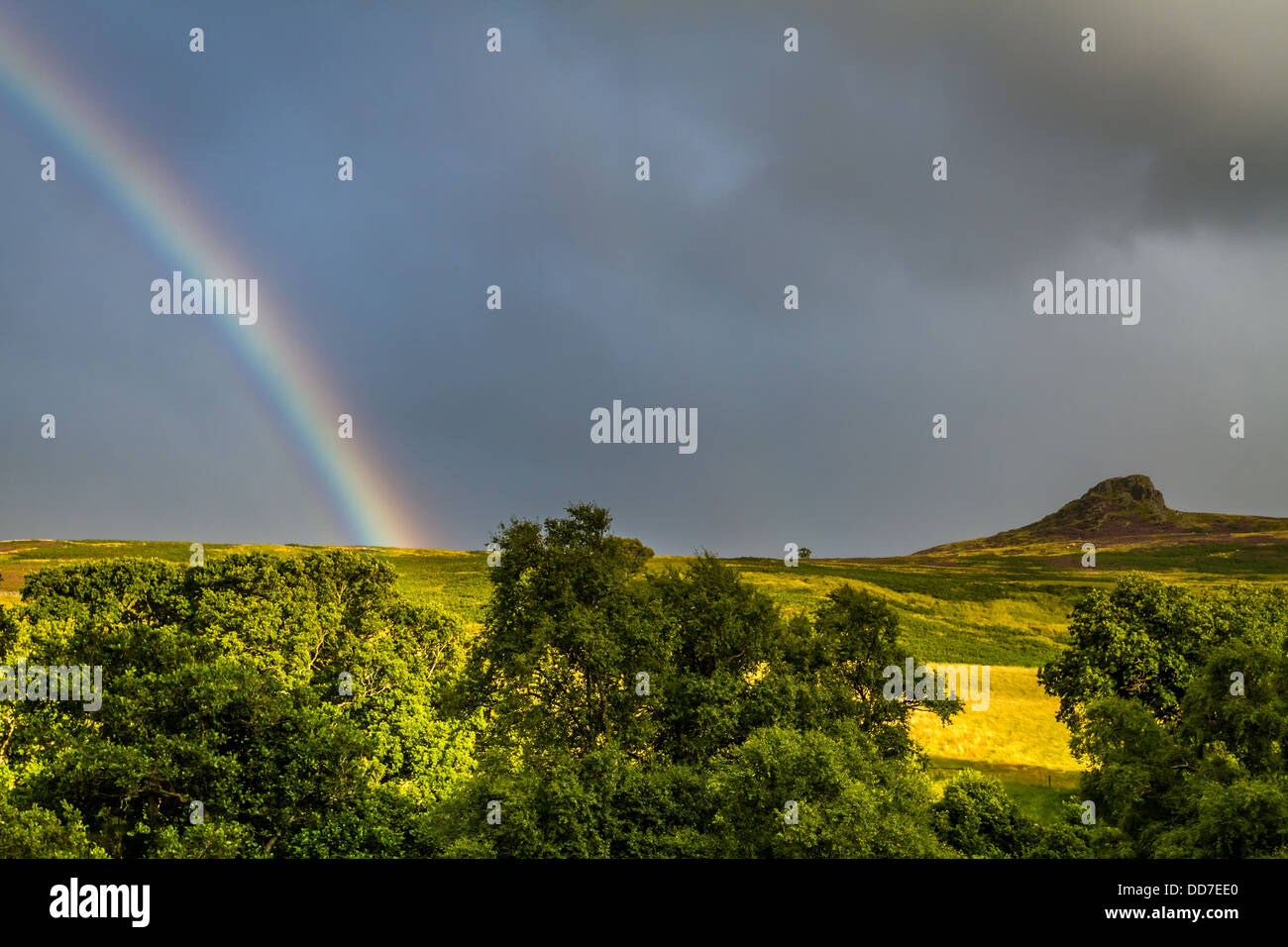 Arc-en-ciel sur la vallée de Harthope à Housey Crags dans la belle lumière du soir, Northymberland, Royaume-Uni avec espace de copie Banque D'Images