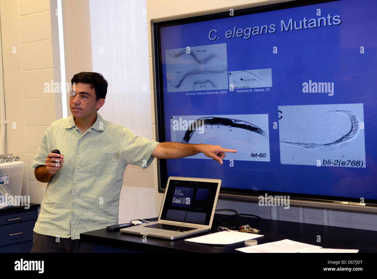 Assistant Alex deLencastre enseigne la biologie du développement en laboratoire de l'École d'été de Yale. Banque D'Images