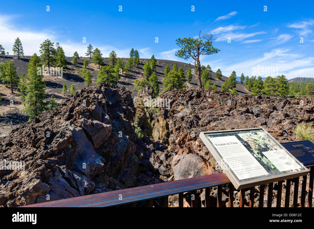 Point de vue sur la coulée de Trail à Sunset Crater Volcano National Monument, près de Flagstaff, Arizona, USA Banque D'Images