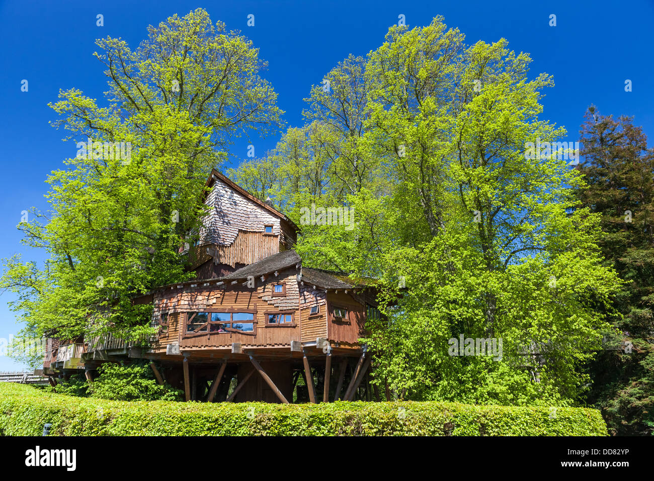 Maison de l'arbre d'Alnwick Banque D'Images