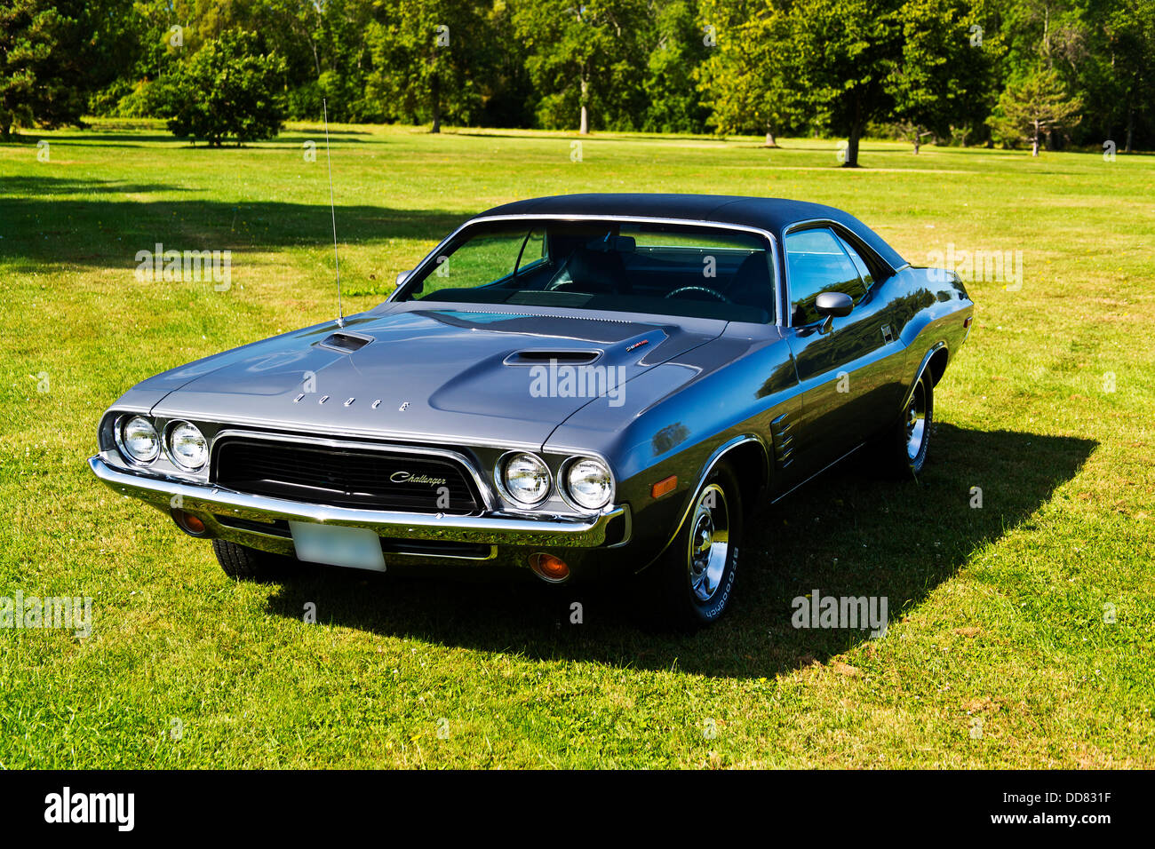 1973 Dodge Challenger sur l'herbe Banque D'Images