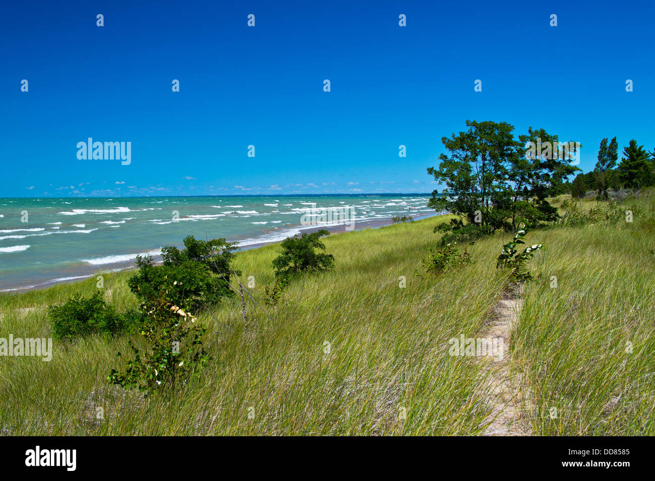 Plage de sable au lac huron Banque de photographies et d’images à haute