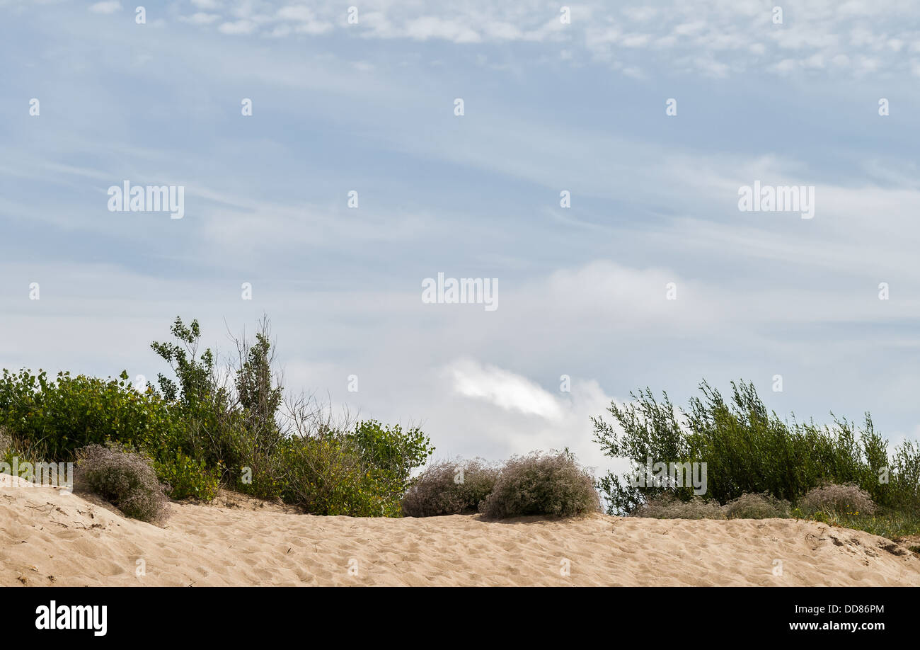 Limite de la plage publique de Klaipeda, Lituanie Banque D'Images