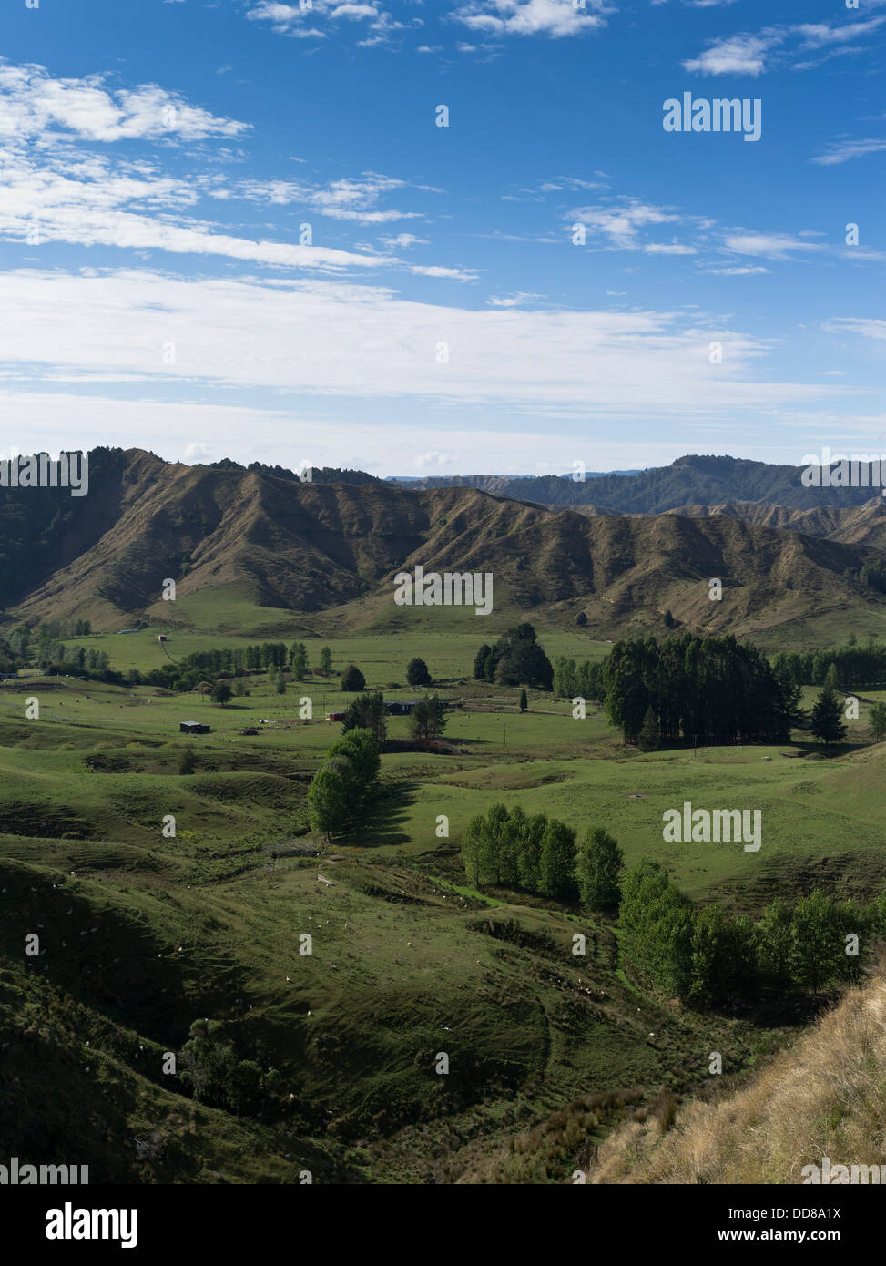 Dh Strathmore TARANAKI Nouvelle-zélande monde oublié autoroute vue sur ce paysage île du nord Banque D'Images