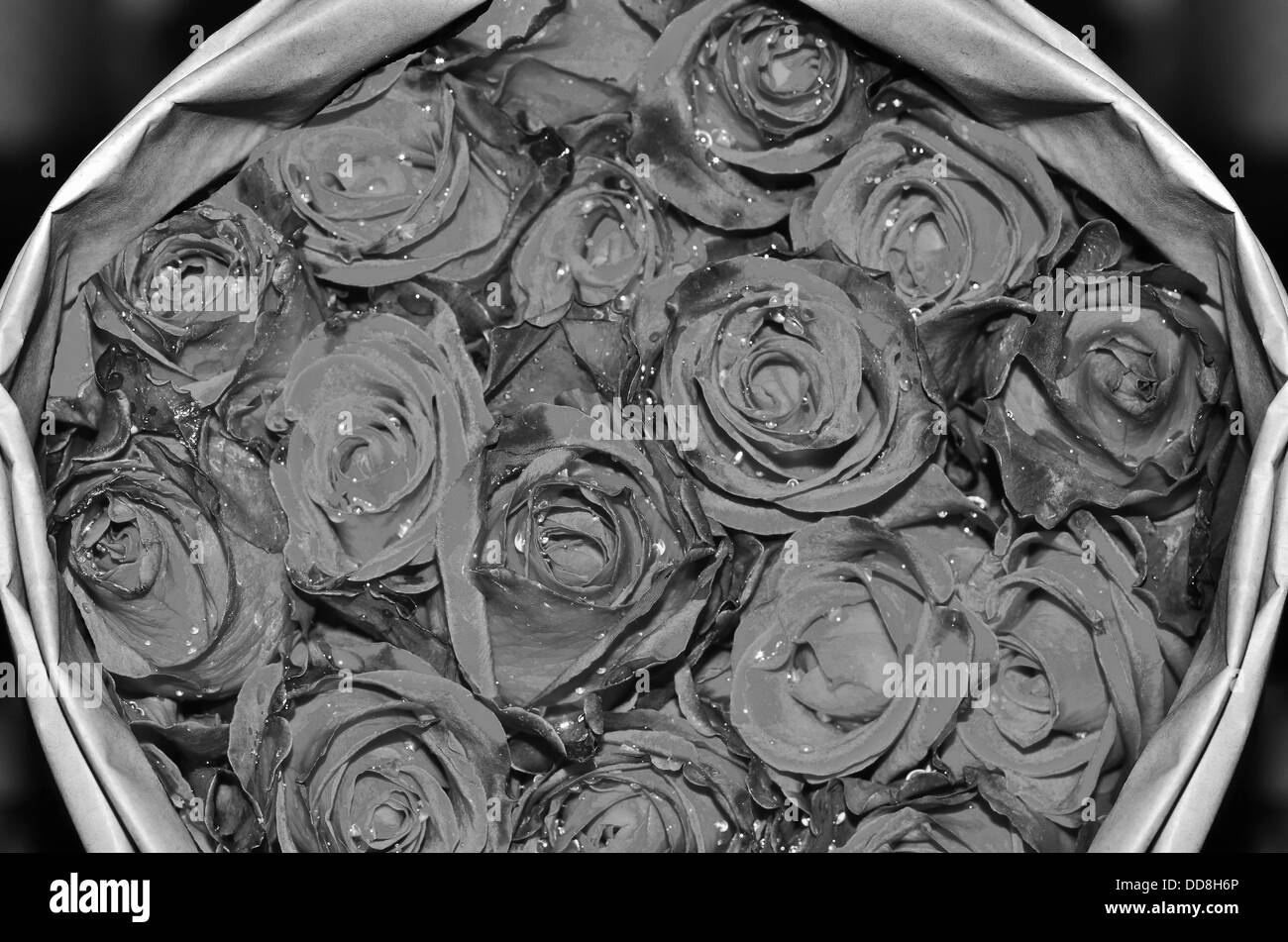 Bouquet de roses blanches et noires Banque D'Images