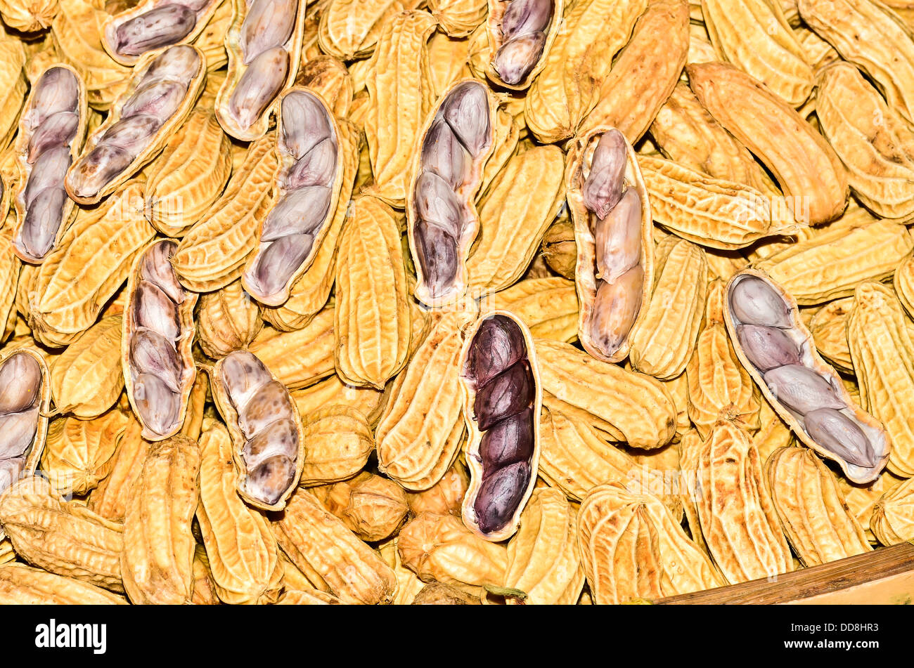 Arachides bouillies Banque D'Images