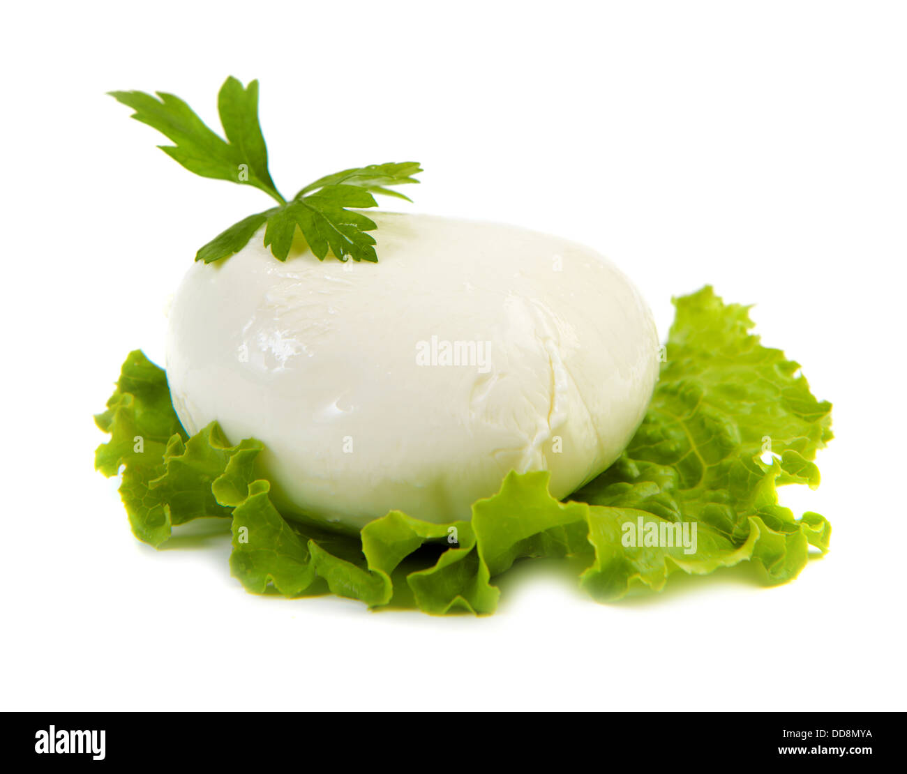 Pièces de fromage mozzarella sur feuille de laitue Banque D'Images