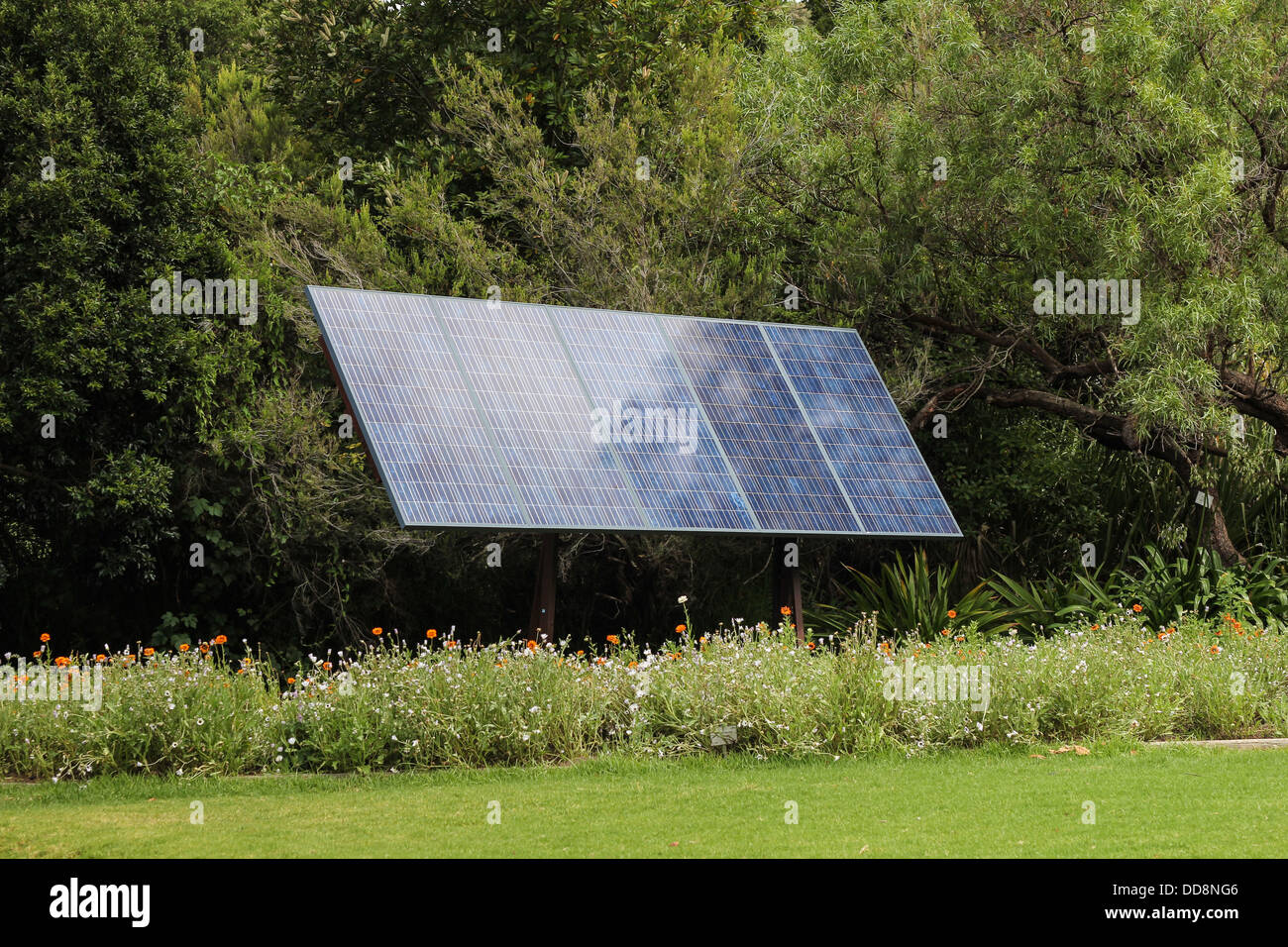 Panneau solaire en face d'arbres produisant de l'énergie verte Banque D'Images