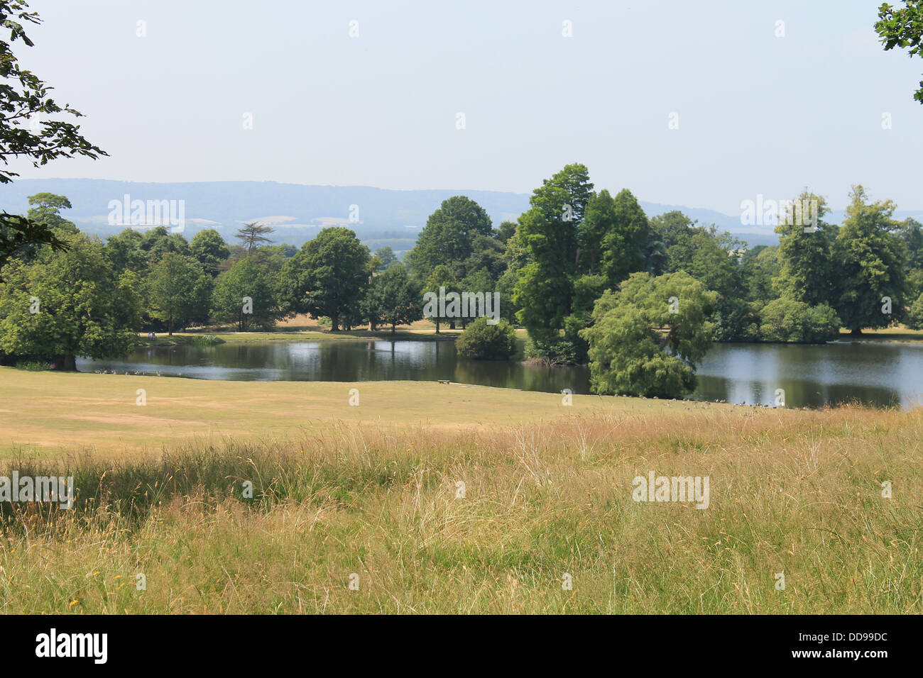 Le lac dans le parc de Petworth Park, West Sussex, UK Banque D'Images