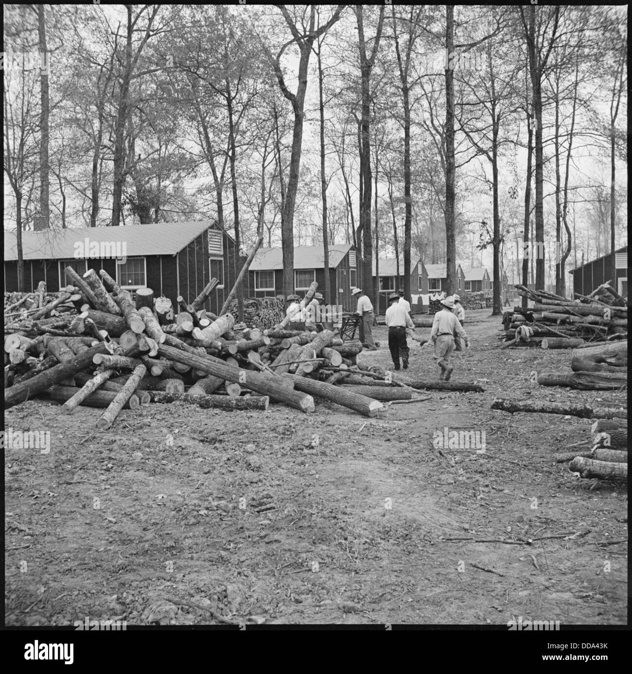 Cette image du Rohwer Relocation Center à McGehee, Arkansas montre une scène de coupe de bois dans une rue du camp. Le centre était l'un des camps d'internement japonais-américains pendant la seconde Guerre mondiale Banque D'Images