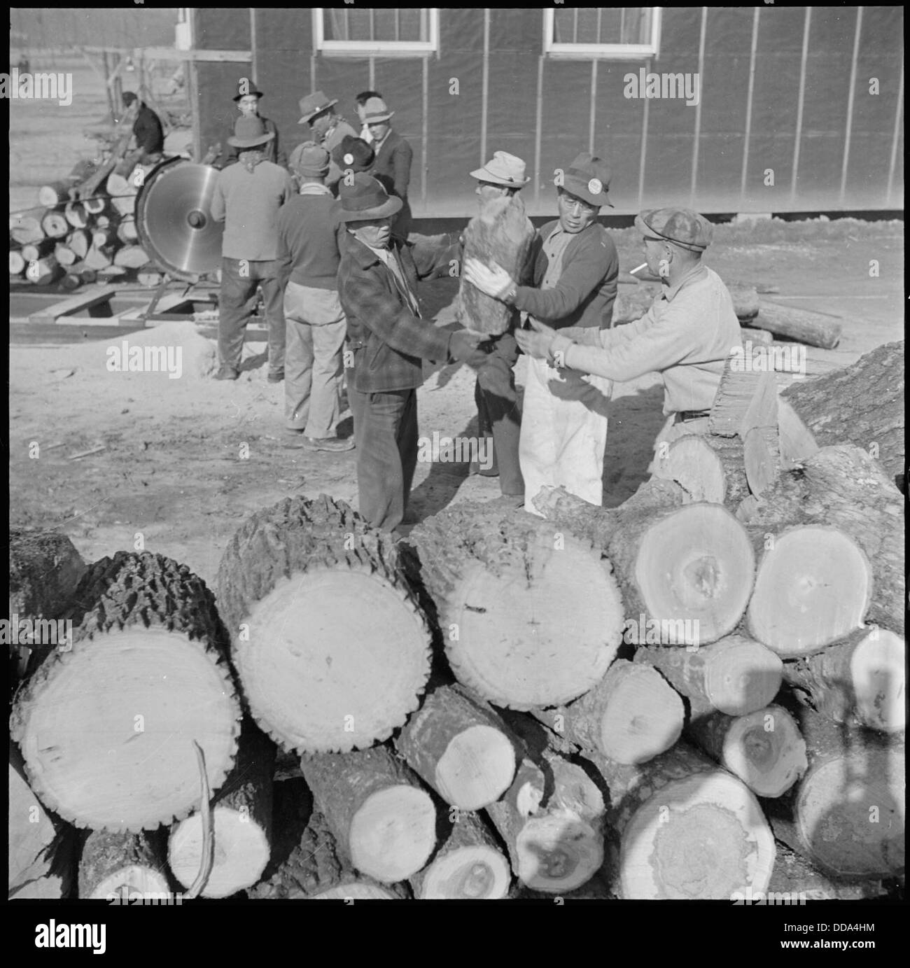 Le Rohwer Relocation Center à McGehee, Arkansas, faisait partie du système des camps d'internement pendant la première Guerre mondiale. Timber a été nettoyé des terres agricoles récupérées dans le cadre de l'effort pour rendre les terres utilisables à des fins agricoles après la fermeture des camps d'internement. Banque D'Images