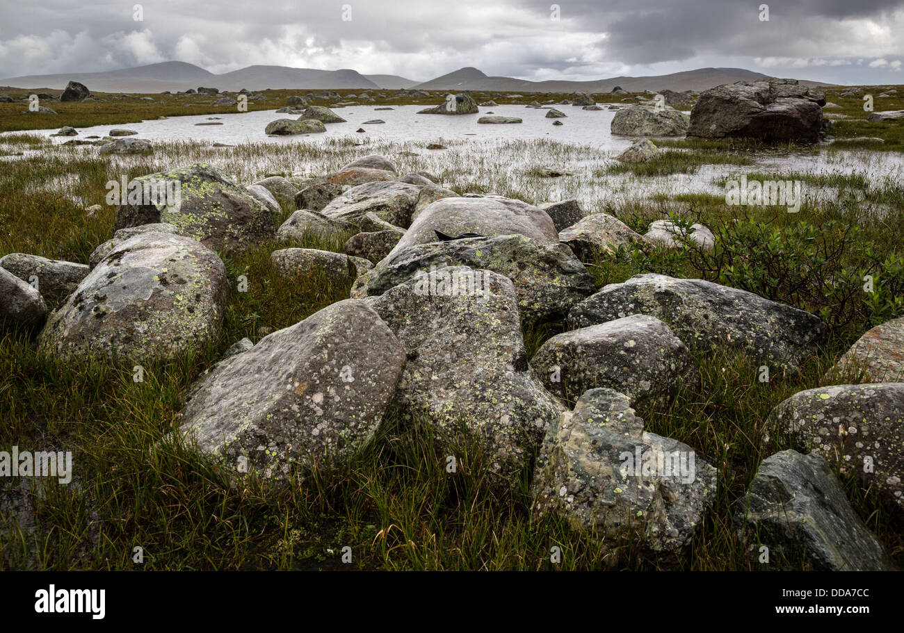 Lac peu profond et humide des pierres du plateau Valdresflye Le parc national de Jotunheimen Norvège Banque D'Images