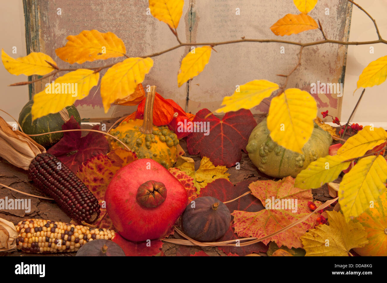 Autumnal still life with fruits différents Banque D'Images