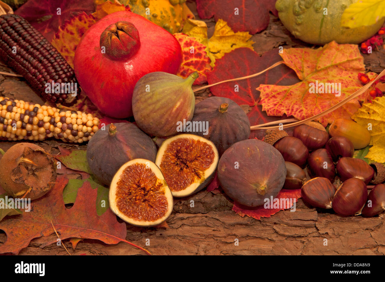 Autumnal still life with fruits différents Banque D'Images