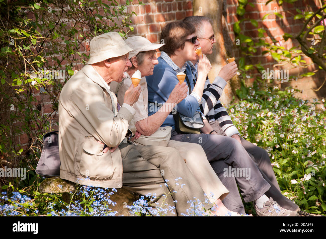 Close-up de 2 couples ou 4 adultes assis dans soleil de l'été sur l'établi dans beau jardin, tous les holding et manger des glaces - North Yorkshire, Angleterre, Royaume-Uni. Banque D'Images