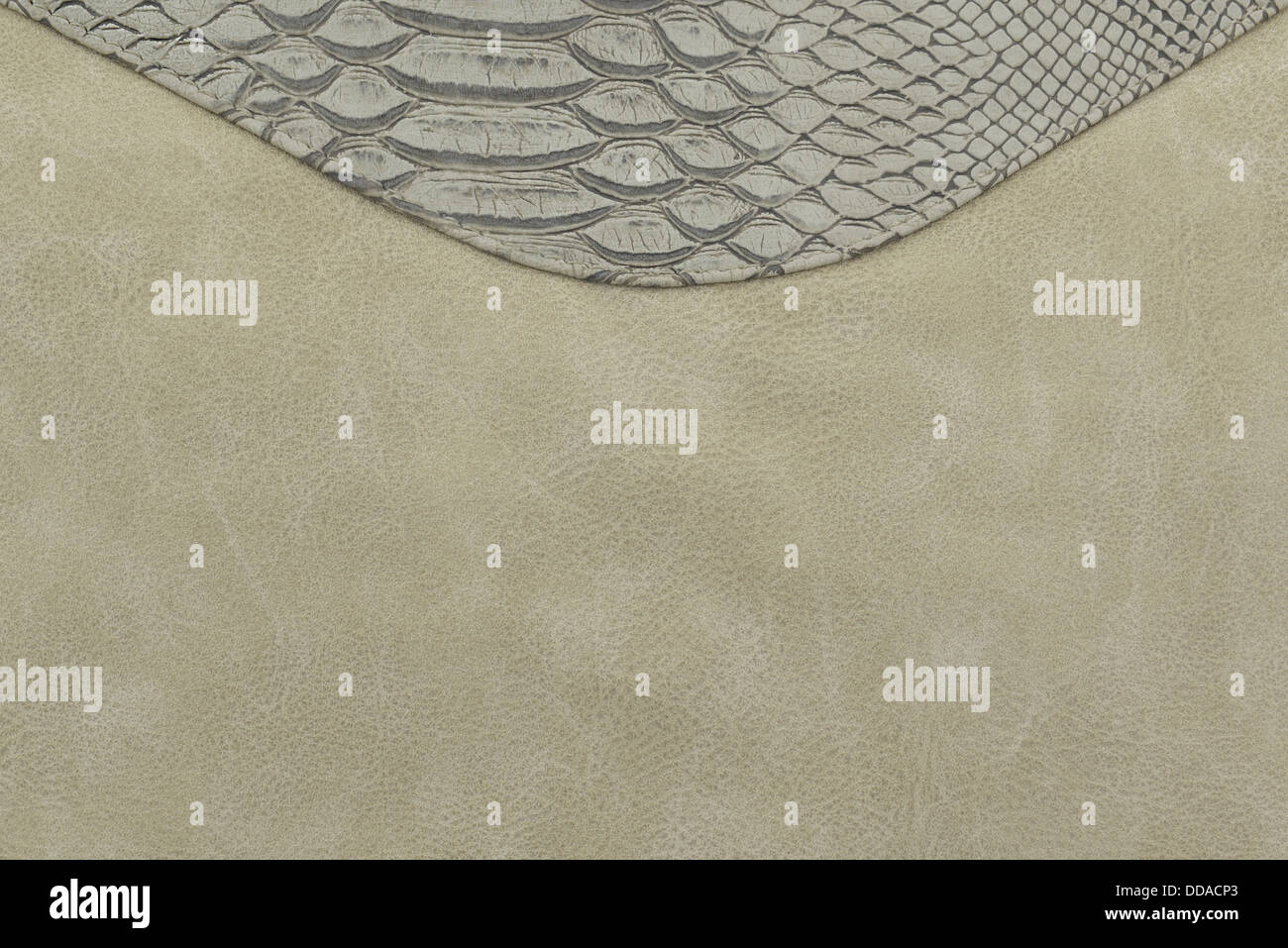 Dans un contexte de cuir beige. Banque D'Images