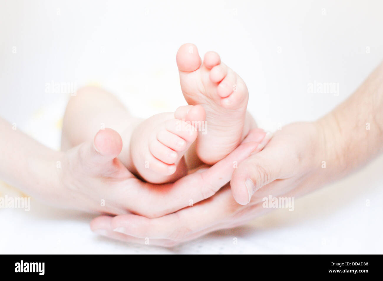 Pieds de bébé de leurs parents les mains Banque D'Images