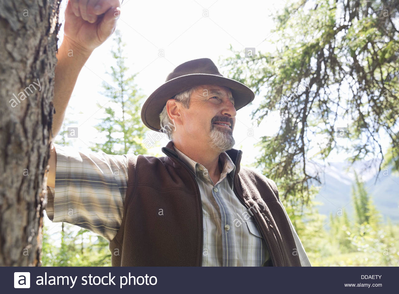 Smiling senior man standing in forest Banque D'Images