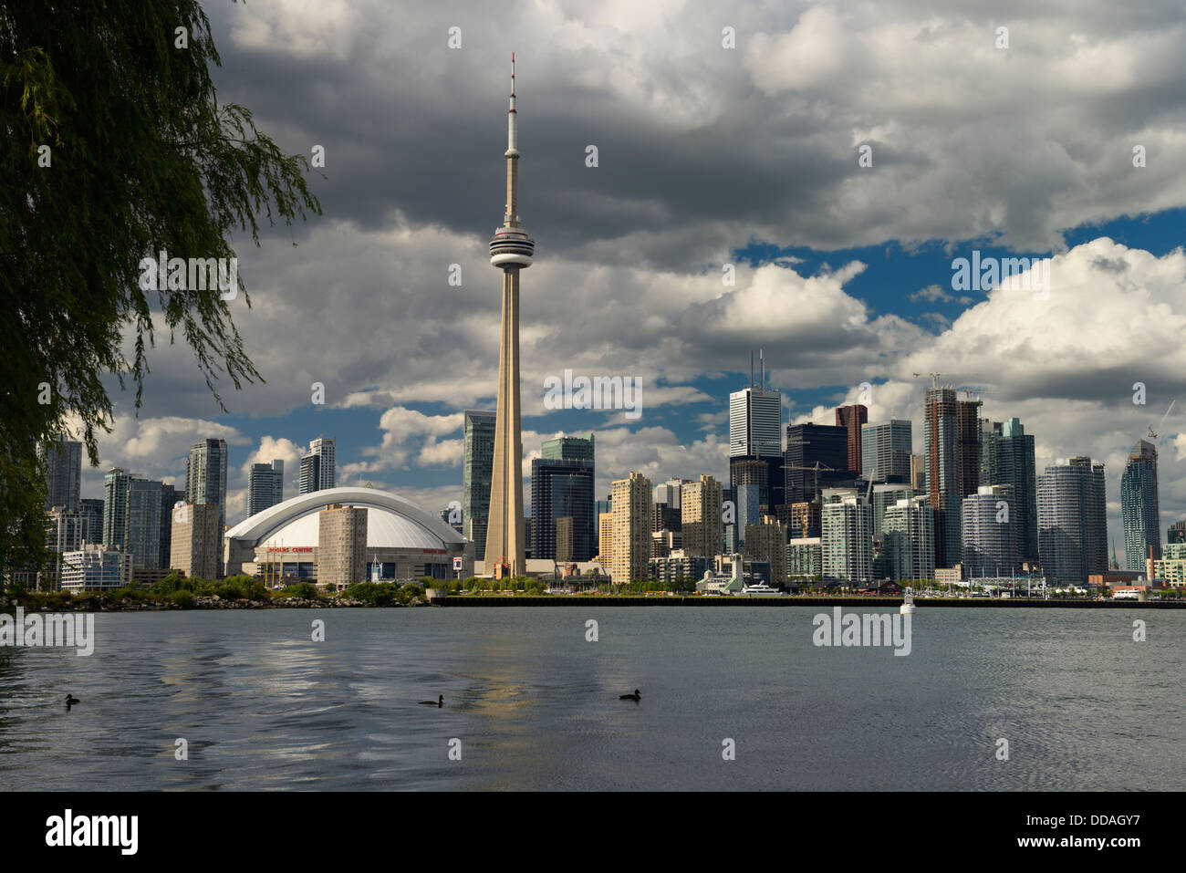 Le centre-ville de Toronto cityscape skyline avec la tour CN et le Skydome Rogers Centre le lac Ontario à partir de l'aéroport de l'île Banque D'Images