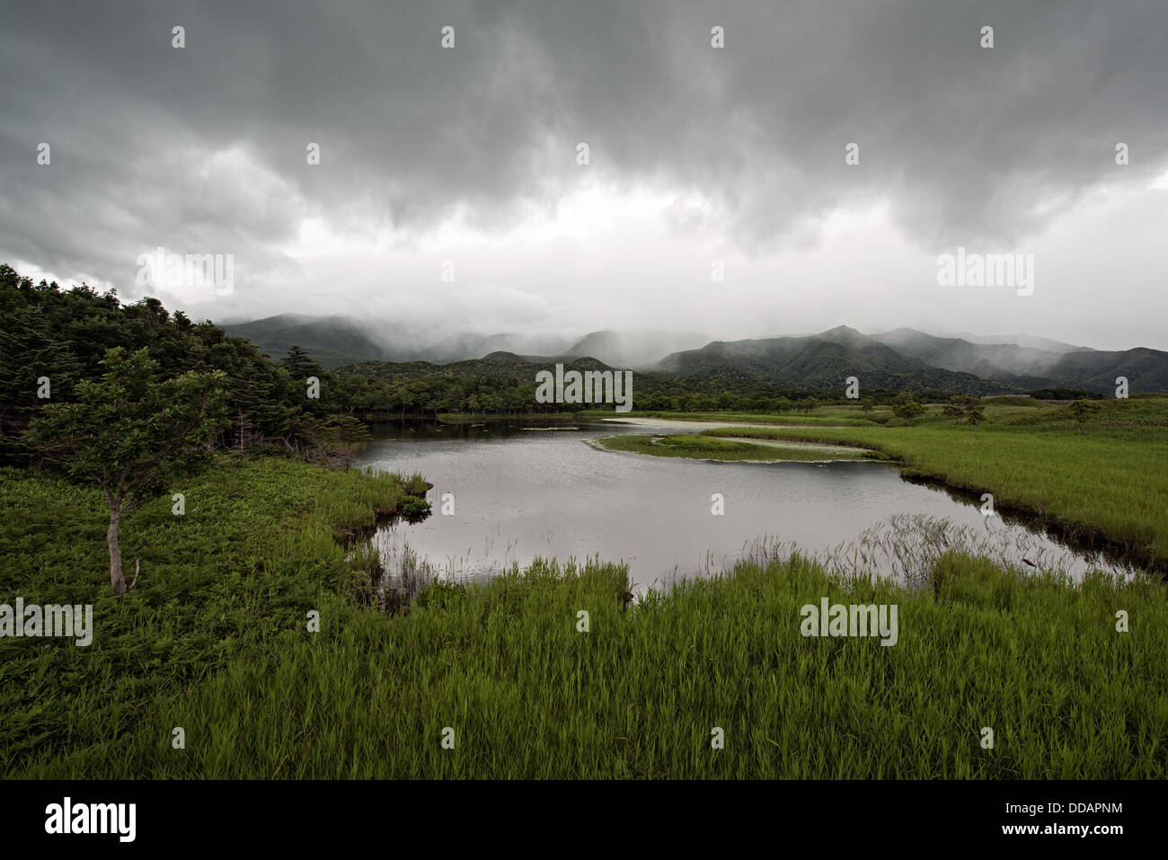 Shiretoko Goko, Hokkaido, Japon - les 5 lacs de Shiretoko (知床五湖) au-kokuritsukōen de Shiretoko, Site du patrimoine mondial de l'UNESCO. Banque D'Images