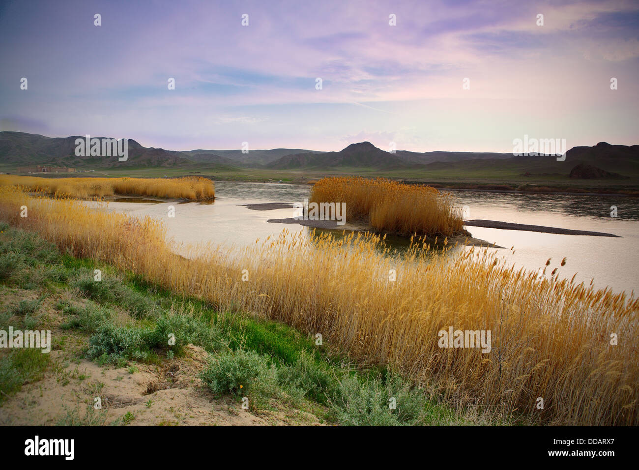 Paysage nature river Asie Centrale Kazakhstan Banque D'Images