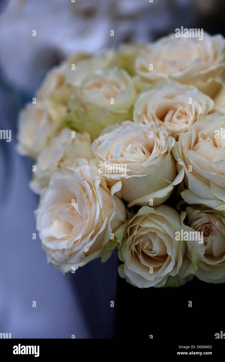 Réception de Mariage Décoration fleurs roses beauté belle la vie organique live pétales jaune rose rose fraîche odeur couleur coloré Banque D'Images