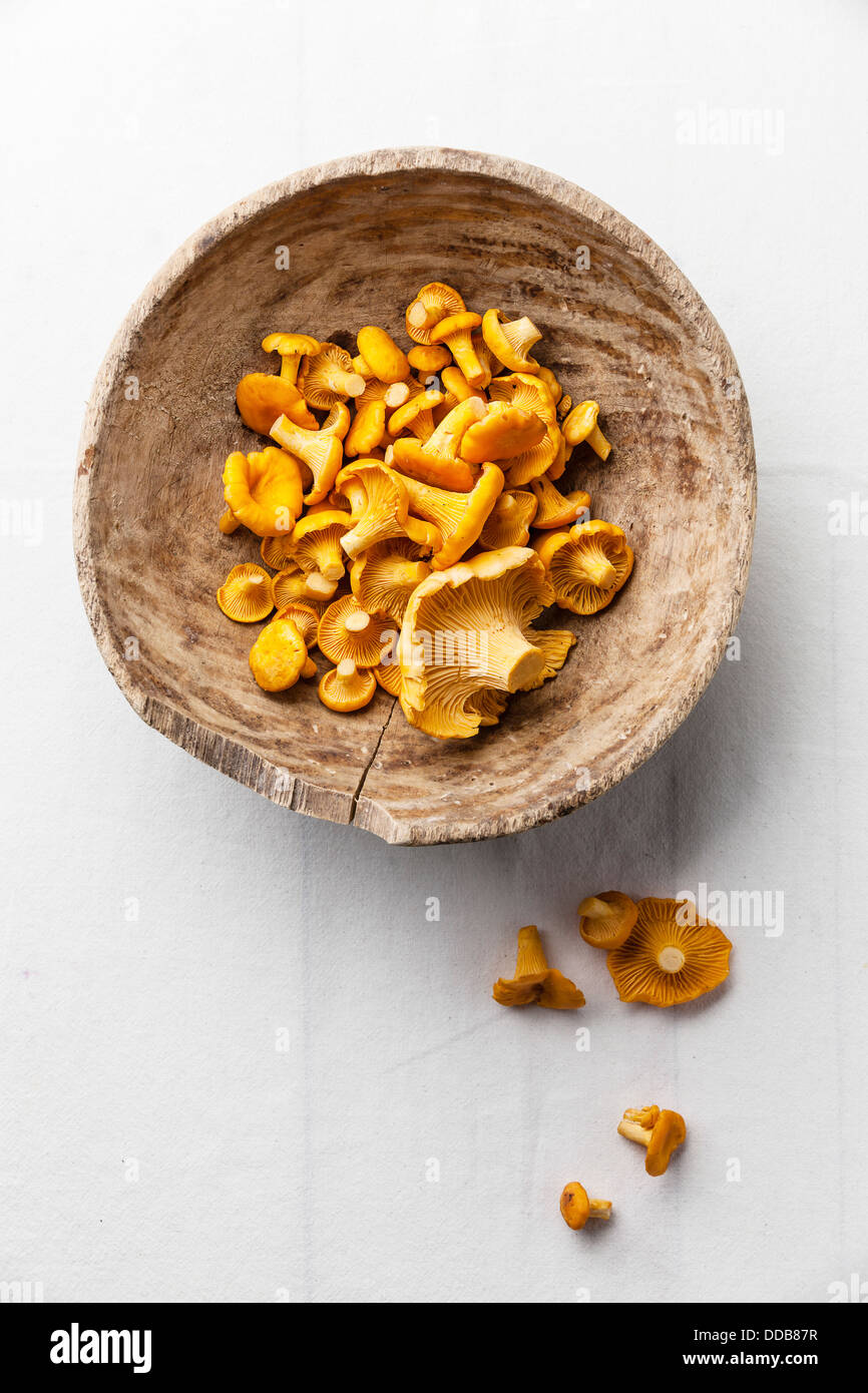 Les champignons sauvages dans bol en bois Banque D'Images