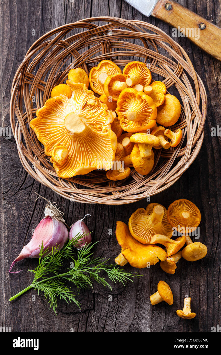 Chanterelles Raw dans panier sur la texture en bois Banque D'Images