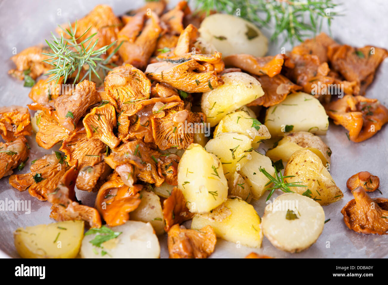 Chanterelles poêlées avec des pommes de terre et l'oignon dans on plate Banque D'Images